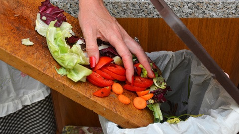Comida desperdicios casa basura alimentos (Foto OCU)