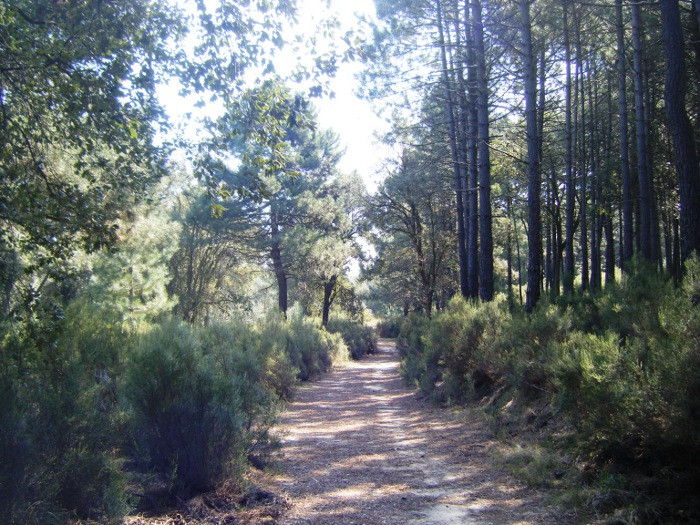 Parque Natural Municipal el Surar Sierra de la Marxuquera (Foto Generalitat Valenciana)