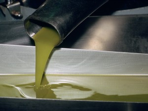 Aceite de oliva almazara (Foto Cooperativas AgroAlimentarias)