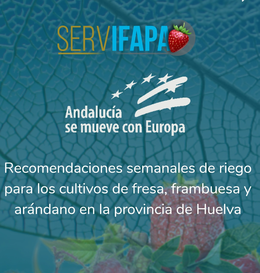 App Riego Berry IFAPA (Imagen Junta de Andalucía)