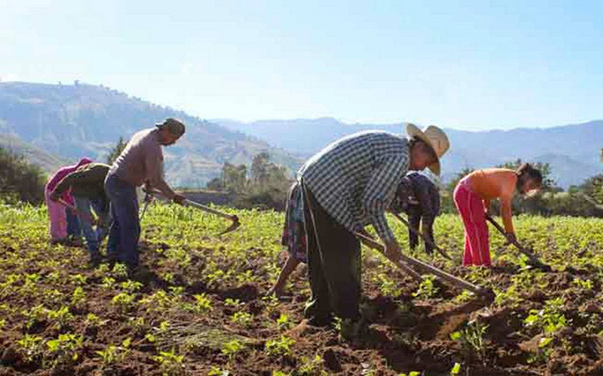 Fondos rurales empleo agrario jornaleros campo (Foto UGT)