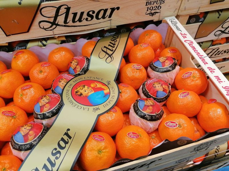 Naranjas Llusar (Foto Llusar LKD)