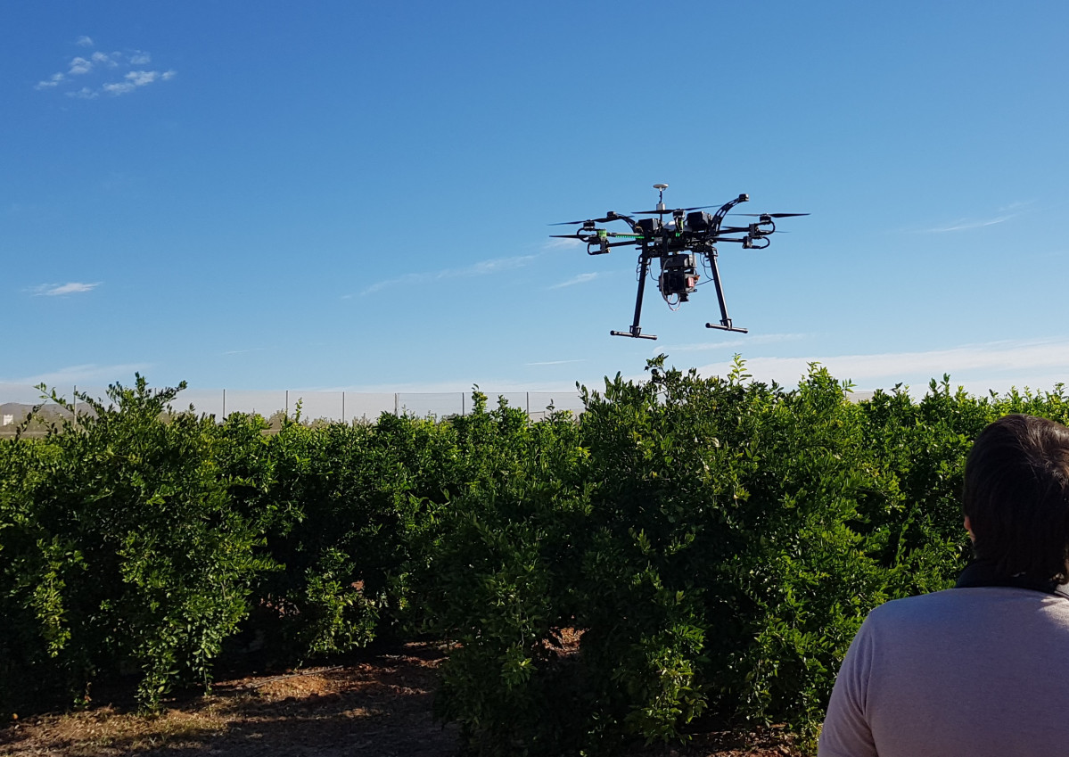 Dron sobre huerto cítricos cultivo (Foto Ainia)