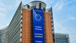 Comisión Europea recurso