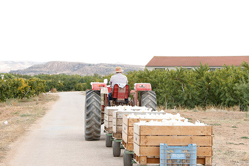 Agricultor esencial tractor (Foto UPA)