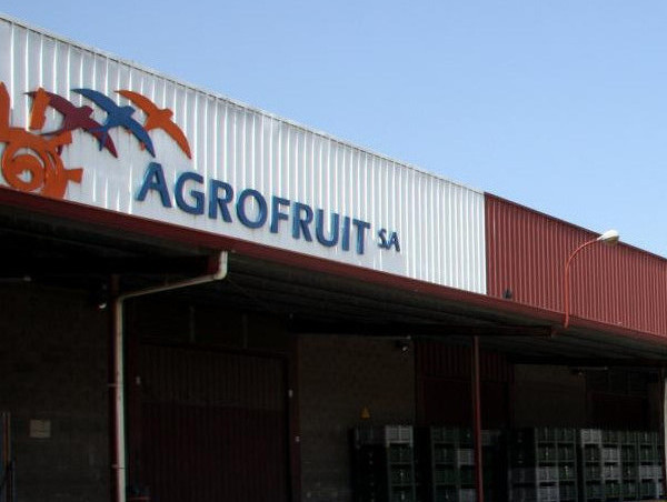 Agrofruit Export Tortosa (Foto UGT Cat)