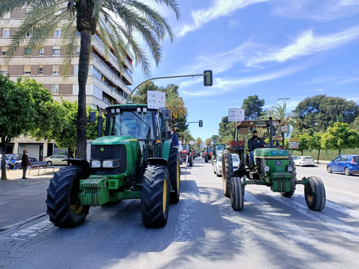 Tractorada PAC Cu00e1diz (Foto UPA Andalucu00eda)