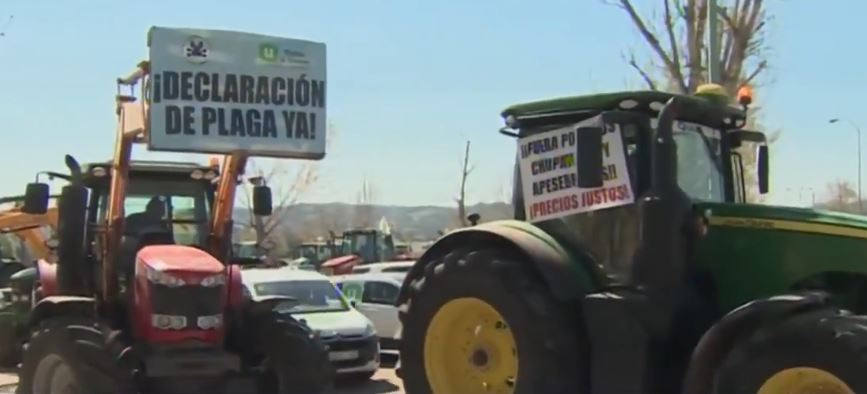 Tractora protesta Filomena y conejos (Foto CLMTVECT)