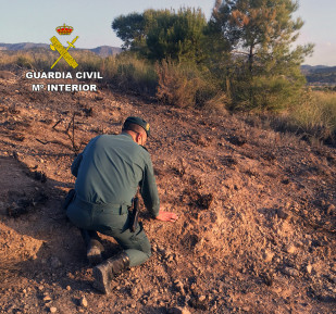 Investigación incendio forestal Abanilla quema agrícola (Foto Guardia Civil)