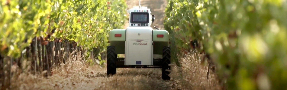 Robot Vitu00edcola VineScout (Foto UPV)