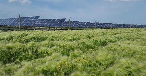 Fotovoltaica (Foto Enet Green Power EGP Italia)