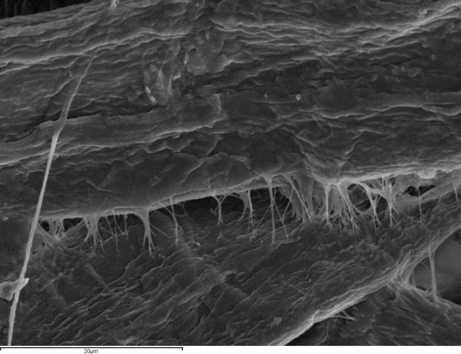 Nanocelulosa mejorando interacciu00f3n fibra fibra reciclaje cartu00f3n (Foto UCO)