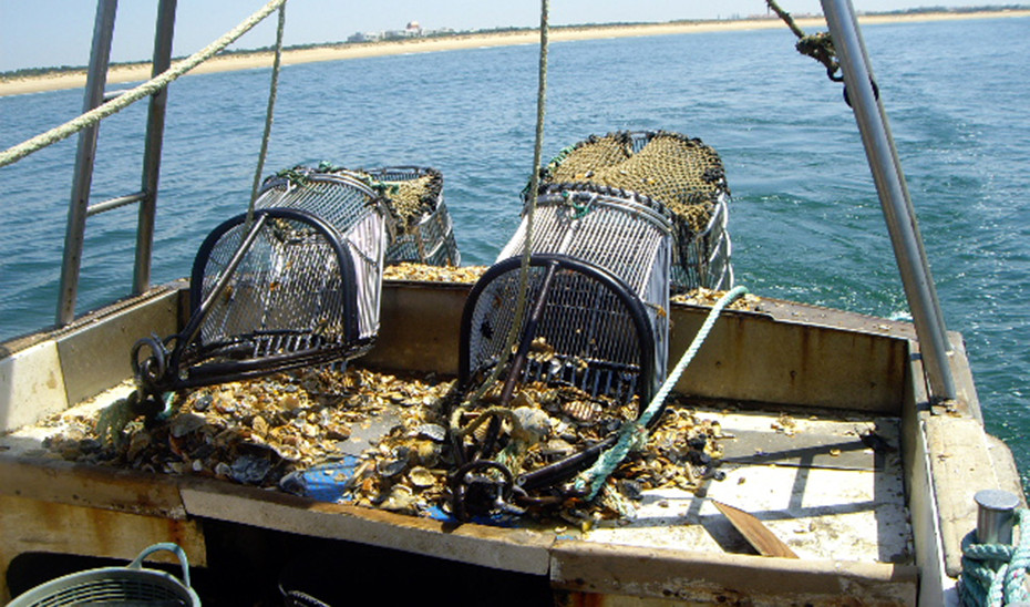 Artes de la pesca de arrastre usada por la flota del Golfo de Cádiz (Foto Junta de Andalucía)