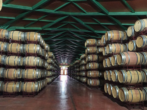 Bodega barriles vino (Foto Cooperativas AgroAlimentarias)