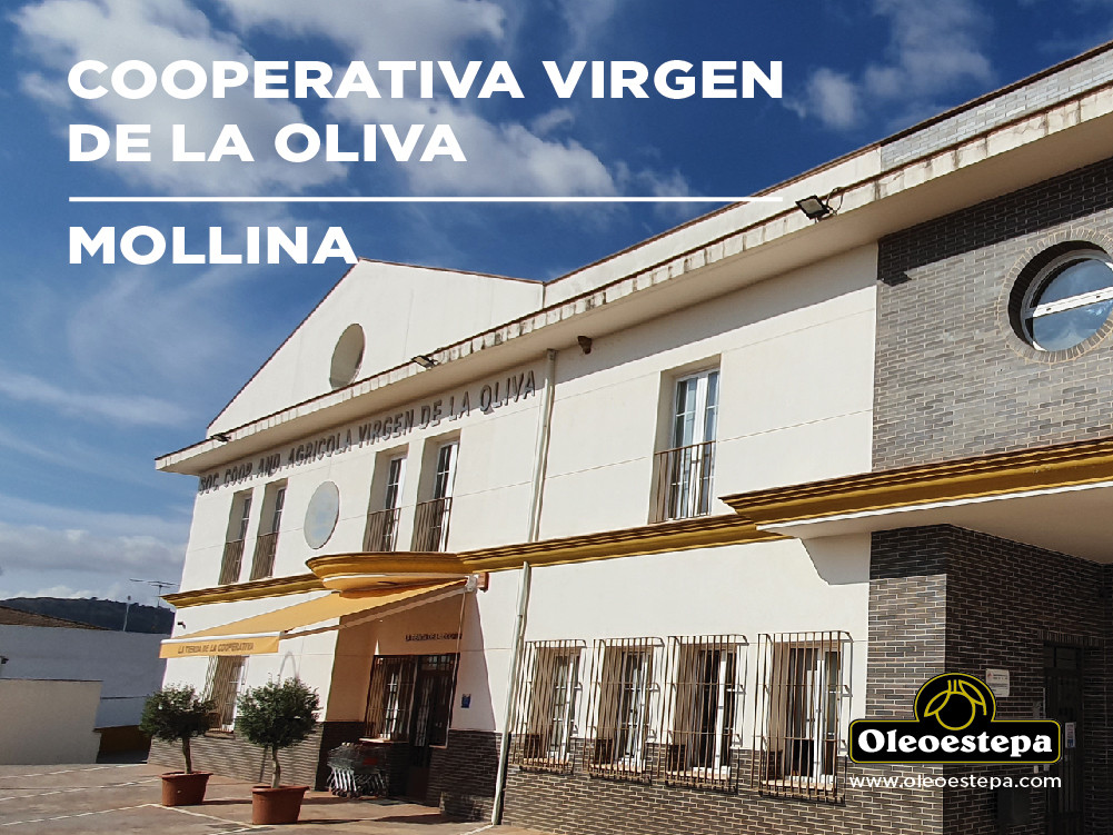 Cooperativa Virgen de la Oliva Mollina Mu00e1laga (Foto Oleoestepa)