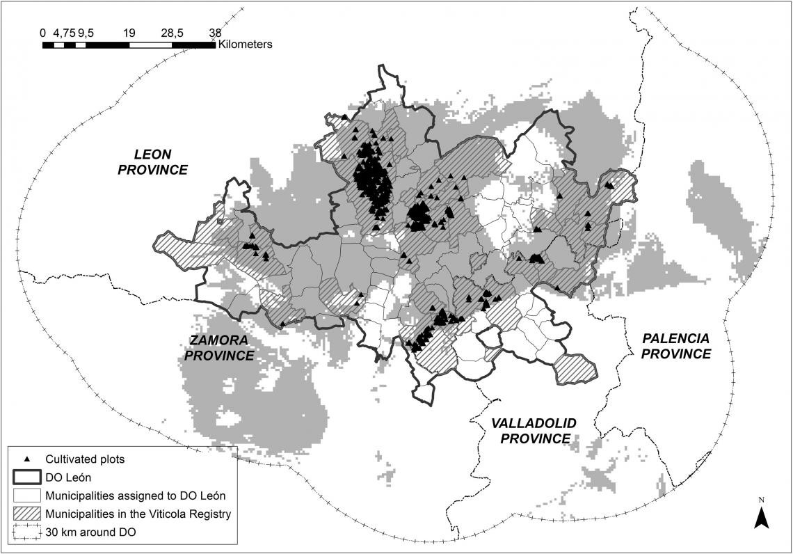 Zonas aptas para la variedad prieto picudo (Mapa Unvi León)