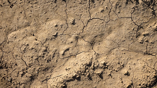 Tierra seca sequía (Foto Fenacore)