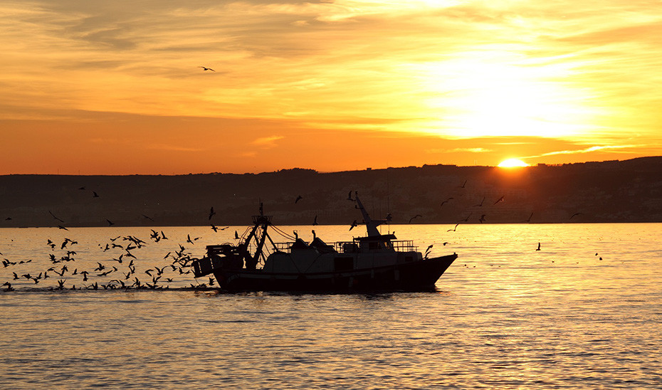 Un barco pesquero muy cerca del litoral andaluz (Foto Junta de Andalucu00eda)