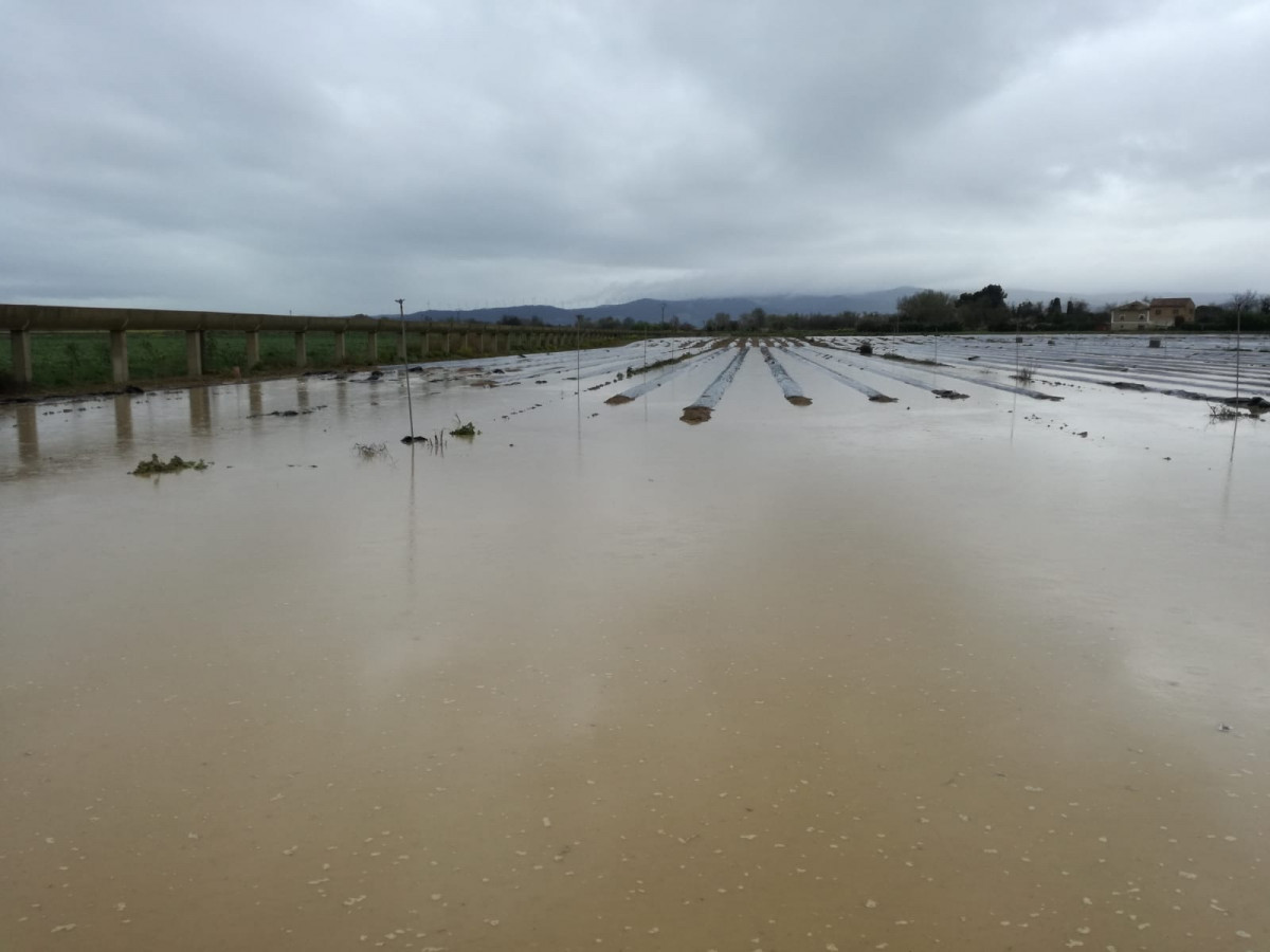 Dau00f1os cultivos inundaciu00f3n Ebro dic2021 (Foto Agroseguro)