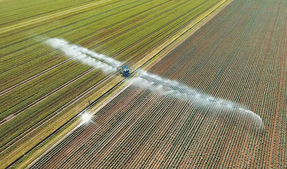 Regadío en cultivo (Foto Junta de Andalucía)