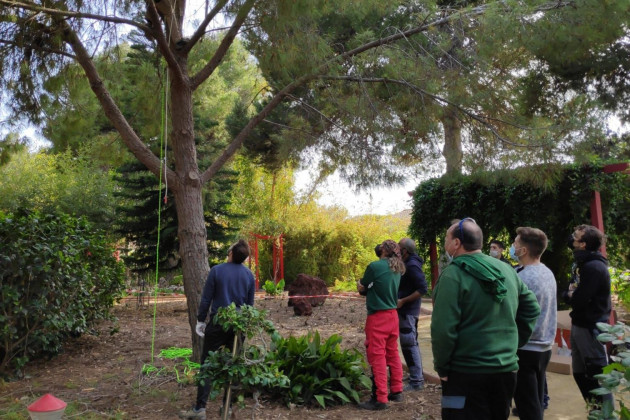 Alumnos Cifea Torre Pacheco prácticas jardinería y espacios verdes (Foto CARM)