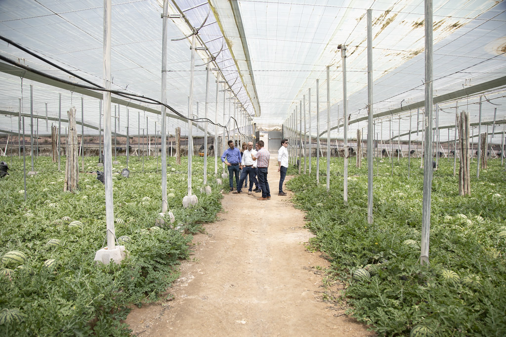 Invernadero sandías agrocultores (Foto UdU Unión de Uniones)