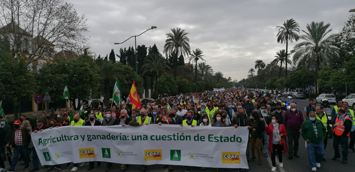 Manifestaciu00f3n campo 25 F Sevilla (Foto COAG Andalucu00eda)