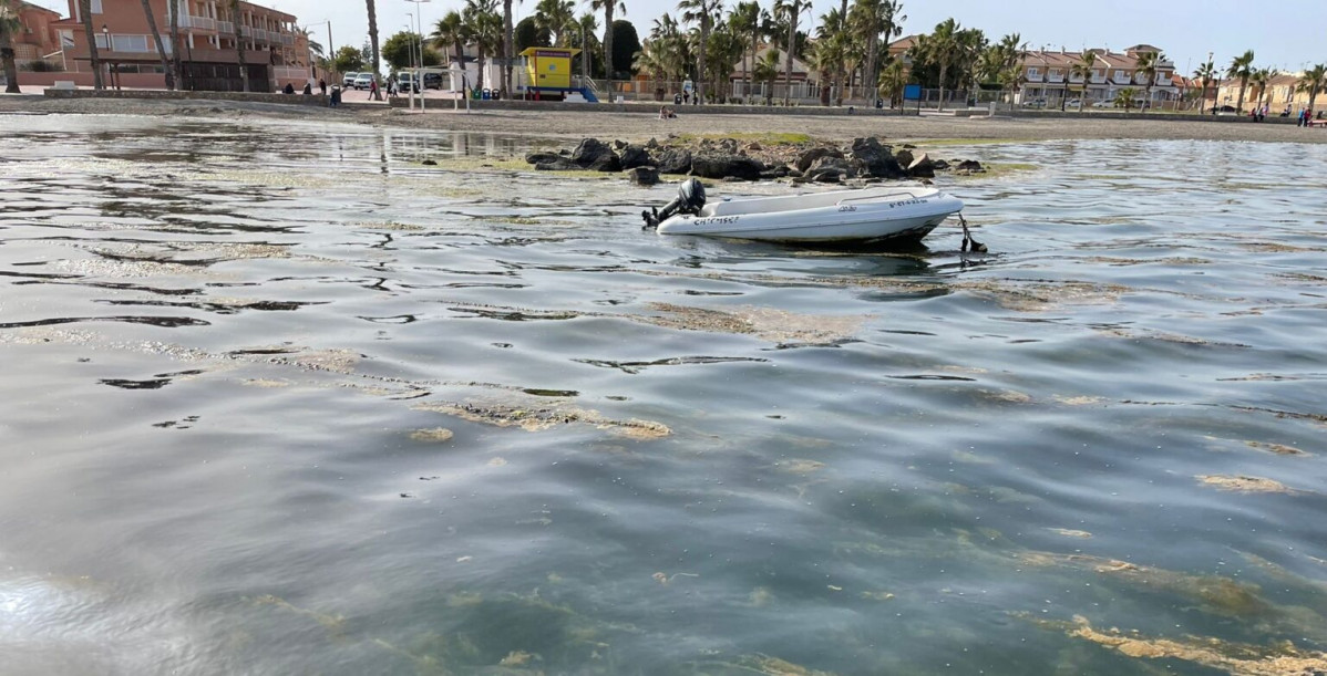 Mar Menor 1 proliferación de algas abril2022 (Foto Ayto Los Alcázares)