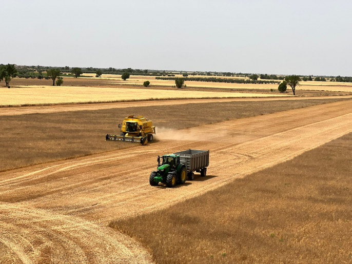 Cereales junio cosecha campo cultivo (Foto Asaja CLM)