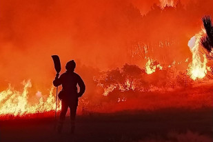Bombero brigadista incendio forestal (Foto Miteco)