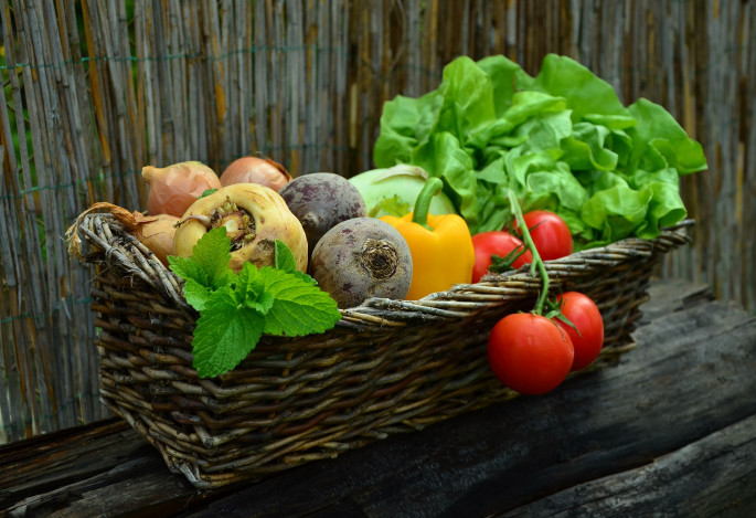 Cesta verduras hortalizas ecológicas (Foto MAPA)