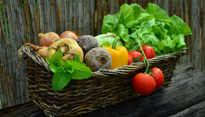 Cesta verduras hortalizas ecológicas (Foto MAPA)