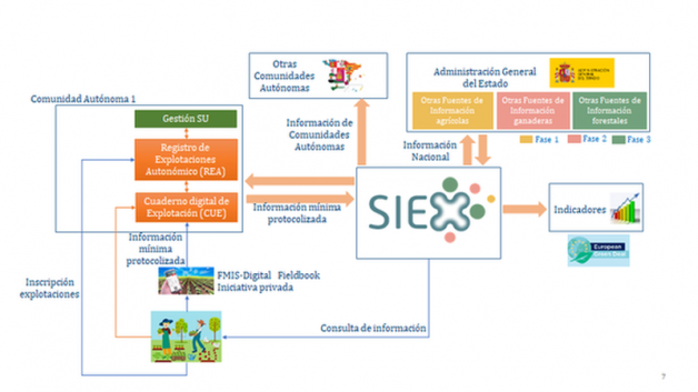 Diapositiva SIEX (Foto FEGAweb)