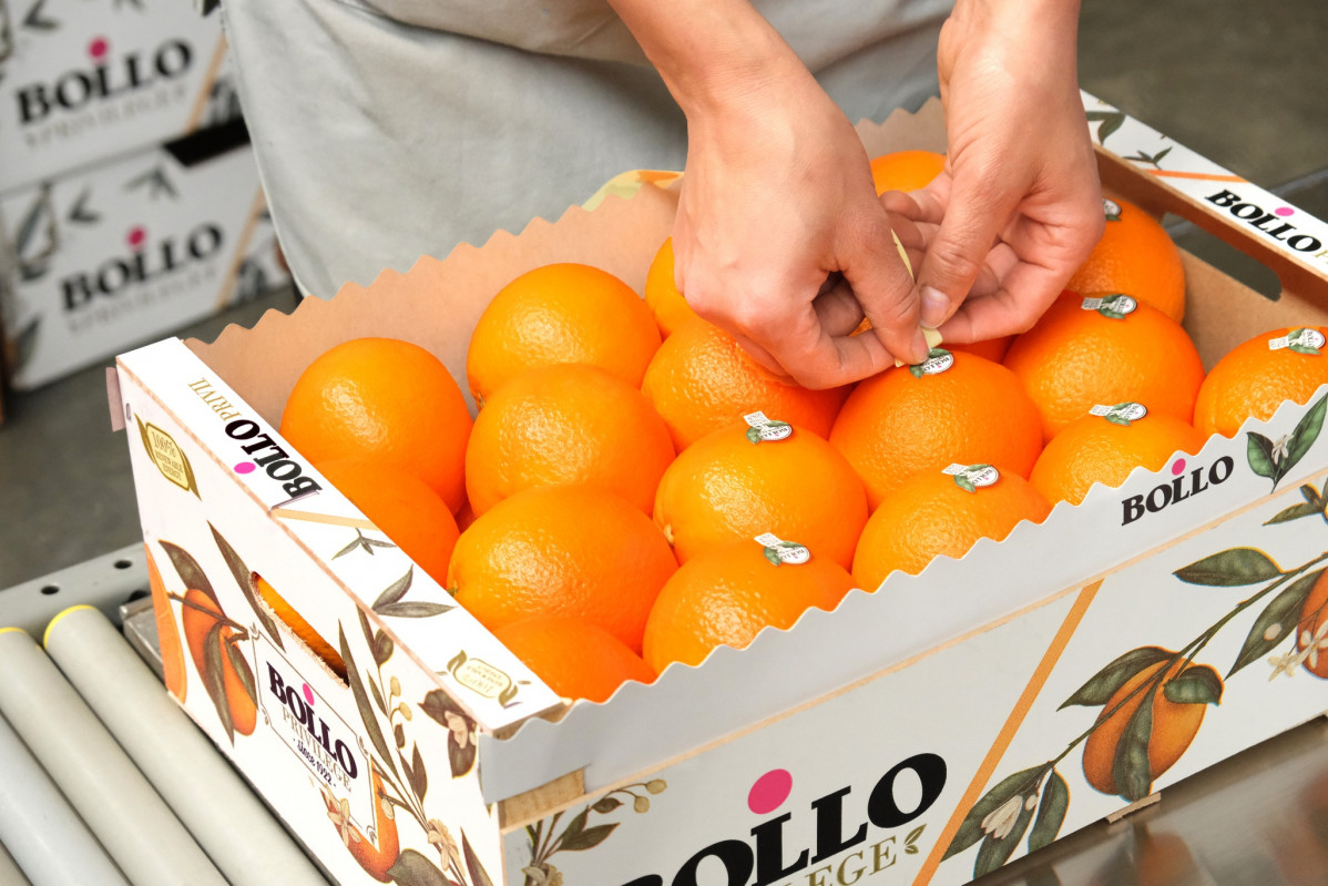 Naranjas Bollo caja (Foto Bollo)