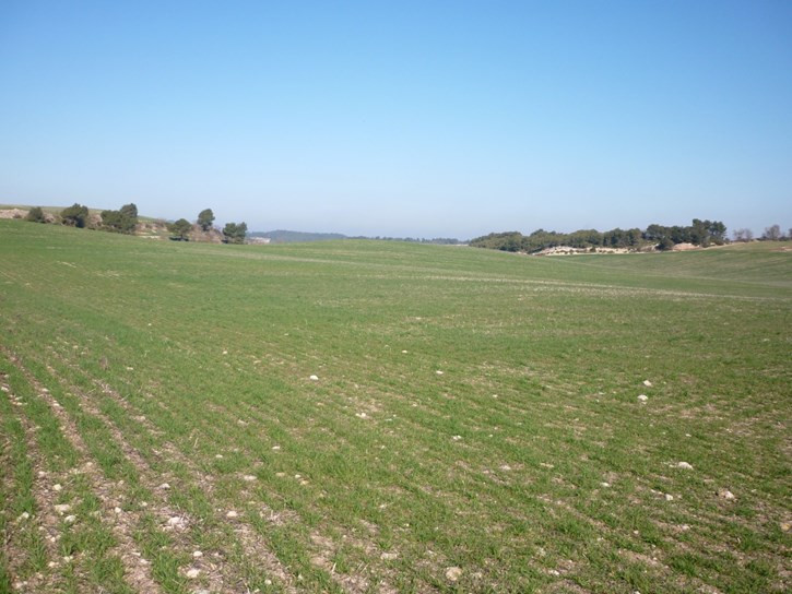 Campo cultivo fertilizaciu00f3n (Foto Uniu00f3n de Uniones)