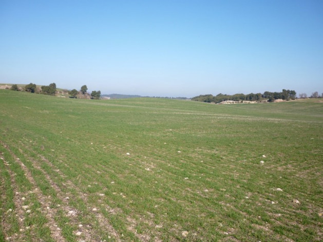 Campo cultivo fertilización (Foto Unión de Uniones)