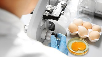 Alerta pesticida huevos alerta alimentaria intoxicación(Foto OCU)