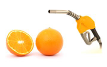 Inveestigacion biocombustible con piel de naranja (Foto UPM)