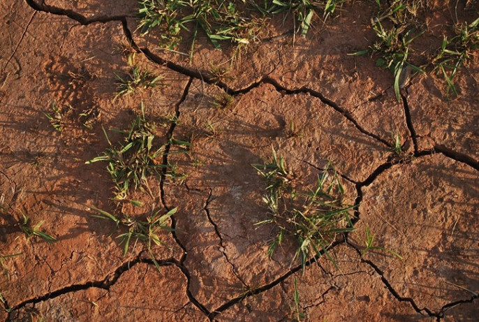 Sequía (Foto Unión de Uniones)