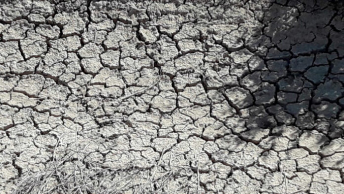 Sequía campo (Foto COAG Andalucía)