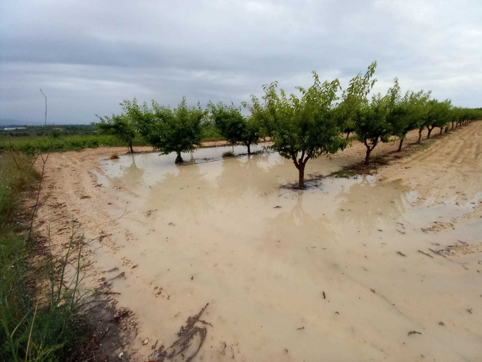 Lluvia campo inundado Valencia (Foto La Unó Llauradora)