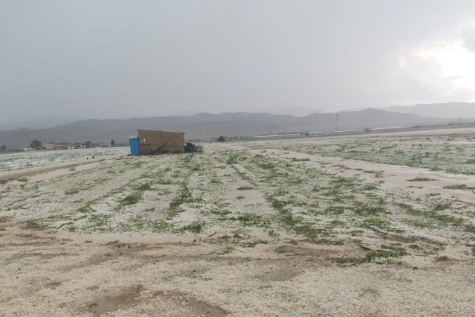 Daños lluvias campo cultivos inundación mayo 2023 (Foto UPA Murcia TT RRSS)