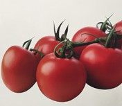 Tomates (Foto Junta de Andalucía)