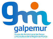 LogoGalpemurFotoGestimarGlobal