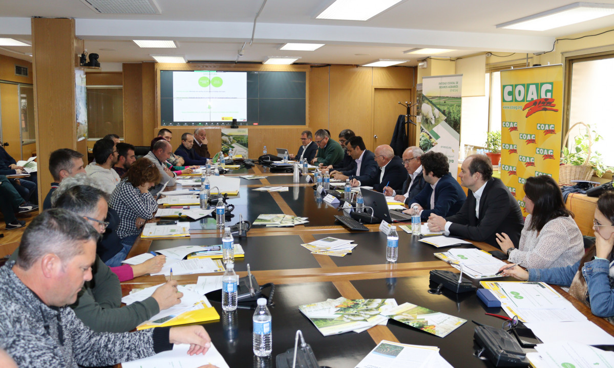 Foto reuniu00f3n COAG con ENESA, Agroseguro y Consorcio Seguros