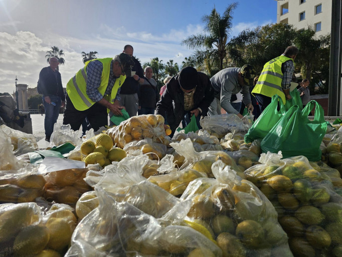 Reparro limones precios de ruiina (Foto UPA Málaga FBRRSS)