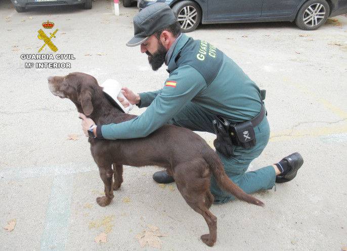 Guardia Civil comprueba el microchip de un perro (Foto Guardia Civil)
