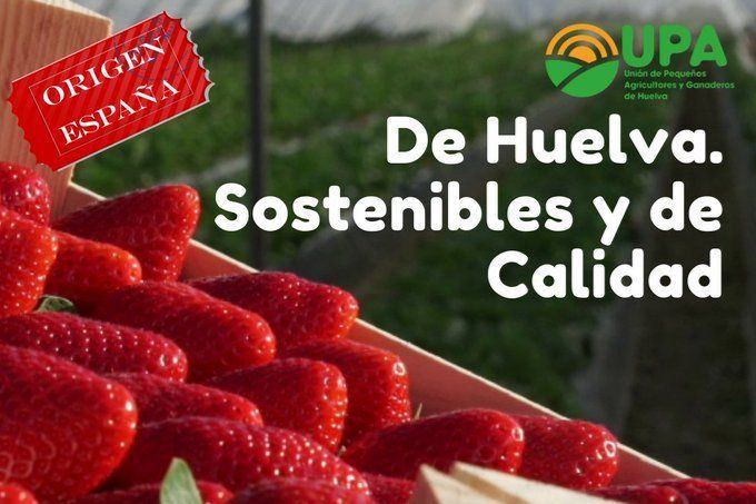 Campaña 'Yo como fresas de Huelva' (Foto UPA Huelva TTX RRSS)