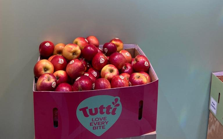 Manzana tutti (Foto IRTA)
