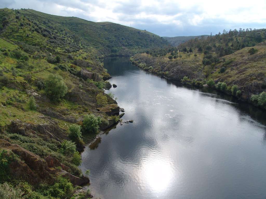 RoTajo